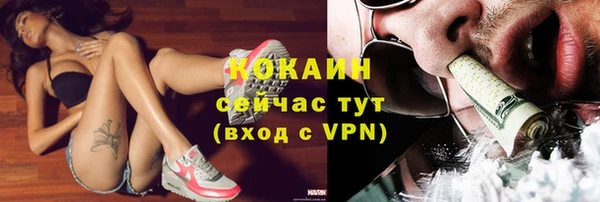 гашик Коряжма