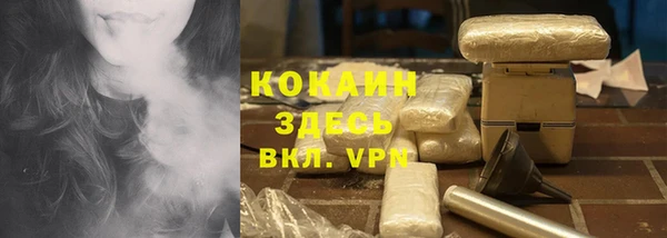 гашик Коряжма