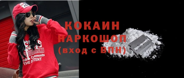 гашик Коряжма