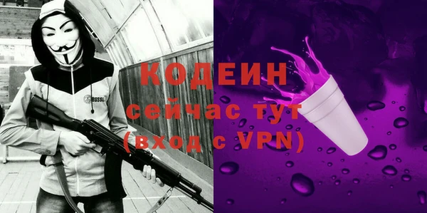гашик Коряжма