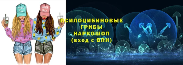 шишки Костерёво
