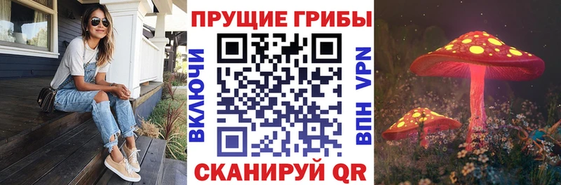 гидра ссылки  Тбилисская  Псилоцибиновые грибы прущие грибы 