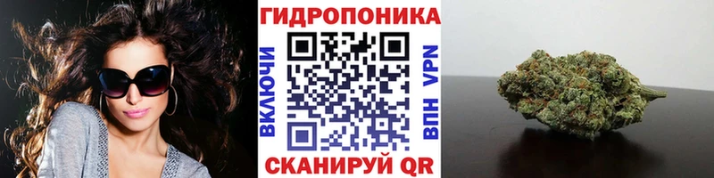Канабис план  где продают наркотики  Тбилисская 